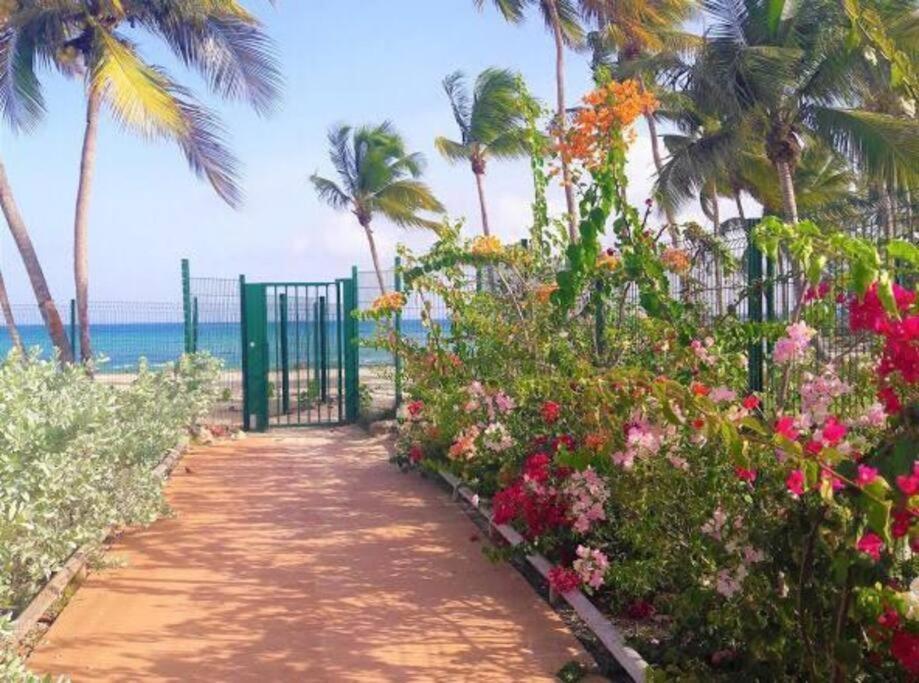 Les Pieds Dans L'eau Archipel Et Savanne * Le Gosier (Grande-Terre)