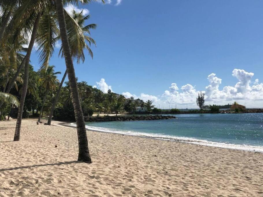 Les Pieds Dans L'eau Archipel Et Savanne Appartement Le Gosier (Grande-Terre)